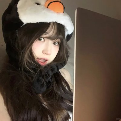 假元首秘纪